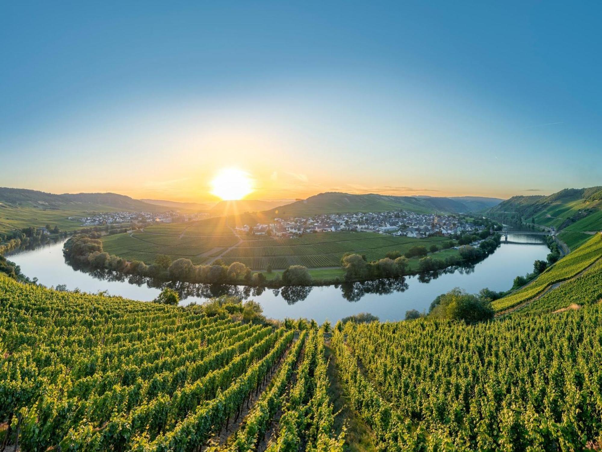 Holiday Home In The Eifel-Mosel With Garden Roes Eksteriør bilde
